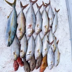 久しぶりの凪予報!!オフショアへ(*`･ω･)ゞ