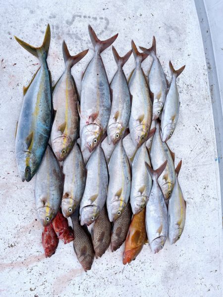 久しぶりの凪予報!!オフショアへ(*`･ω･)ゞ