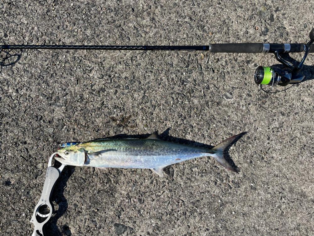 ジグパラ炸裂〜