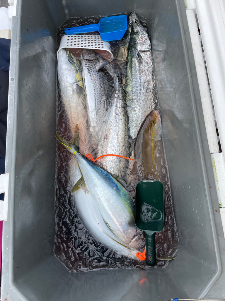 シマノカップin明石