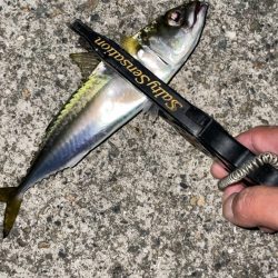 オンスタックルのモニター