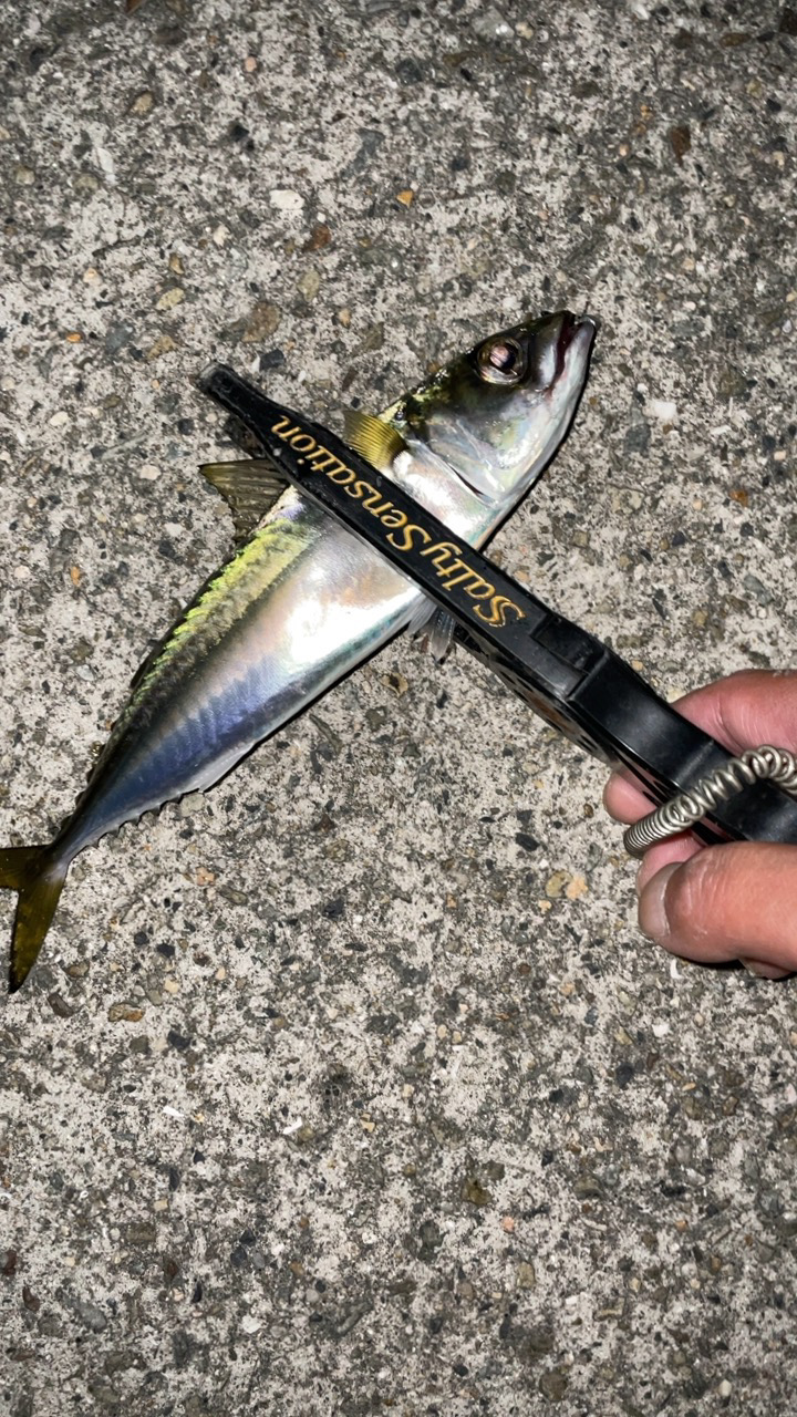 オンスタックルのモニター