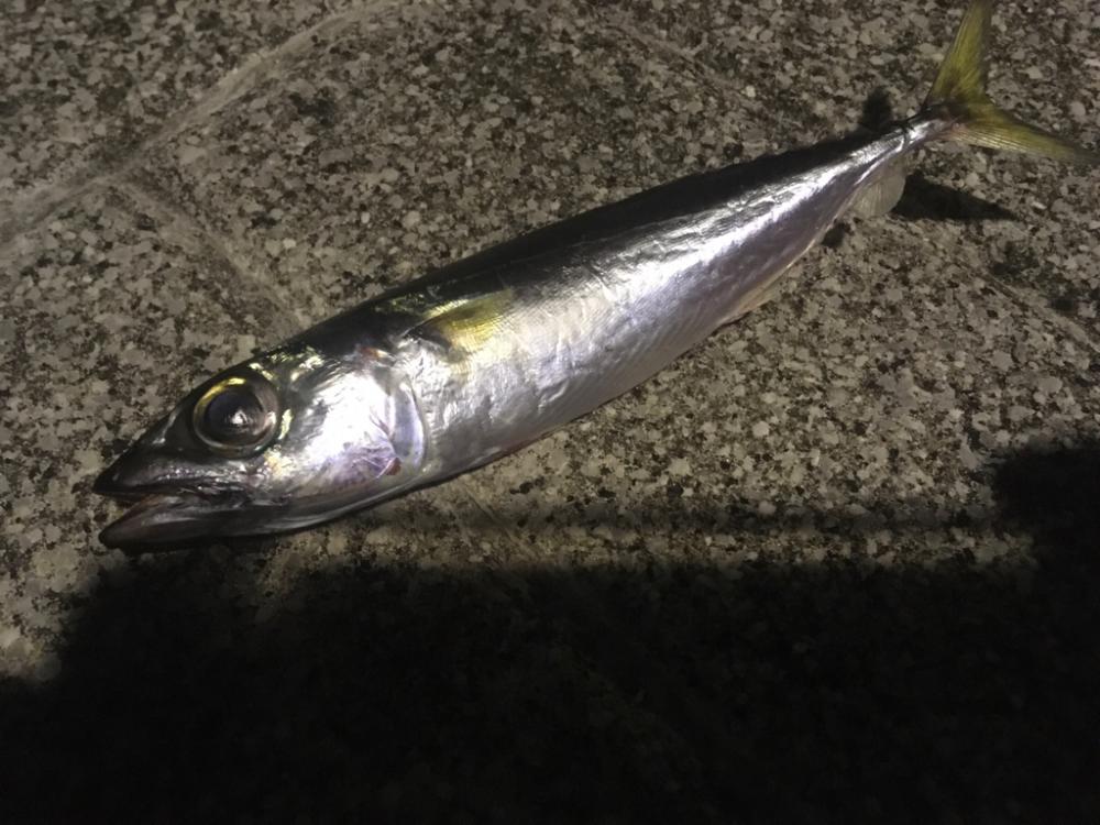 極端にアタリ減少