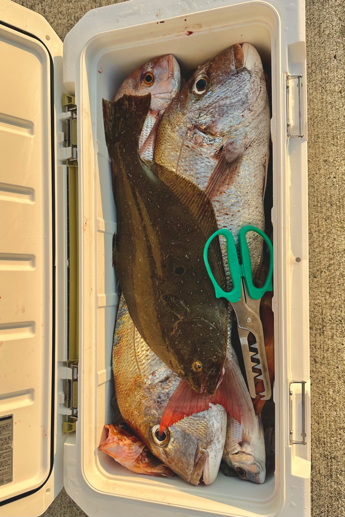 ひとつテンヤ釣行