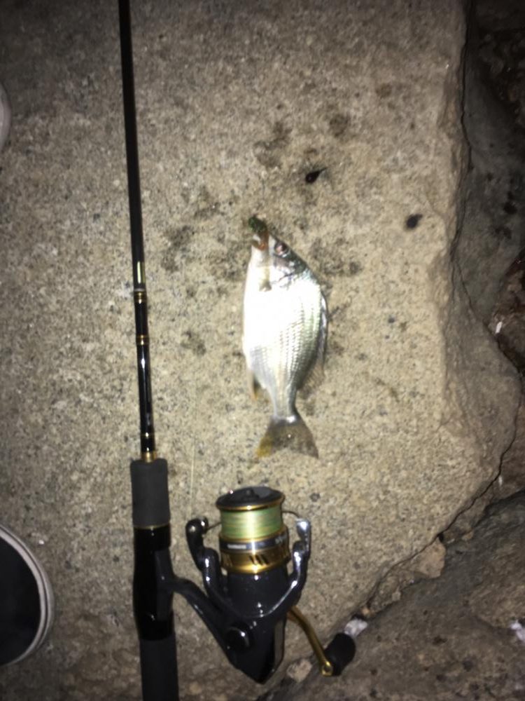 寄り道フィシング