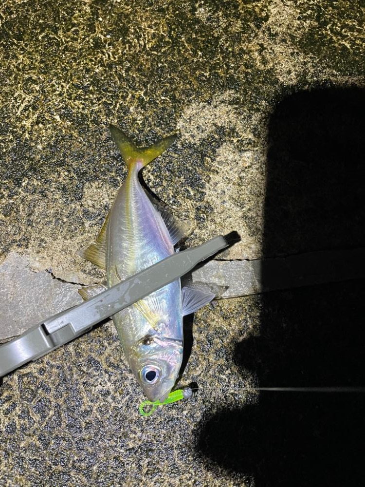 いいサイズでした。