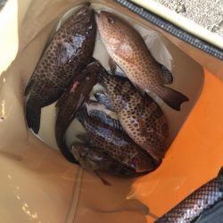 オオモンハタ祭り