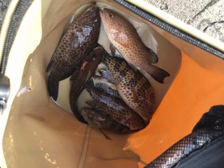 オオモンハタ祭り