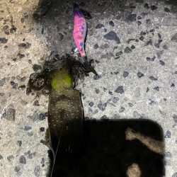 仕事終わり短時間勝負！！