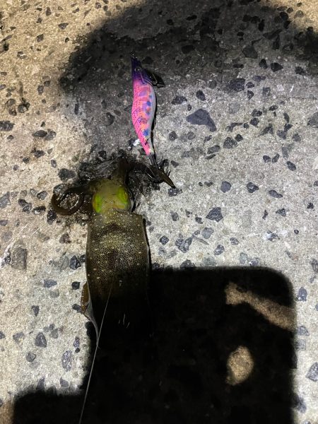 仕事終わり短時間勝負！！