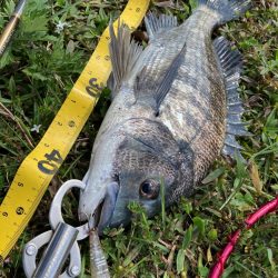 スーパーライトチニング