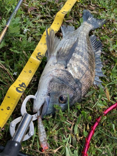 スーパーライトチニング