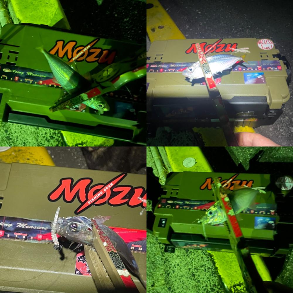 関門アジング10.22