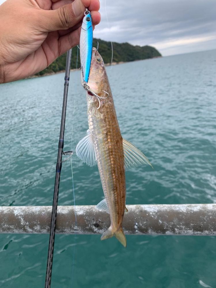 珍しく正午前後