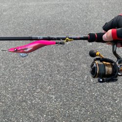 風が強い、うねりが強い時こそ墨族柔！