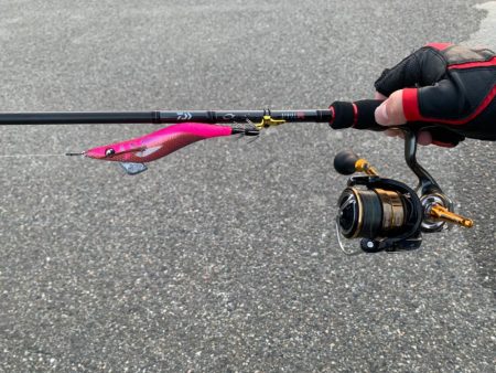 風が強い、うねりが強い時こそ墨族柔！