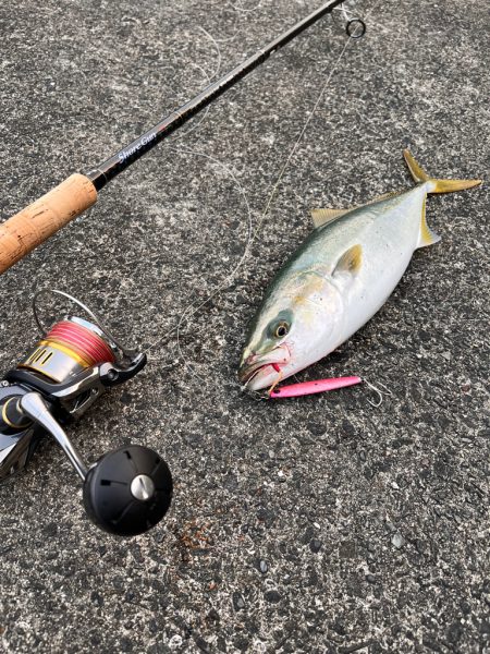 ショアジギング