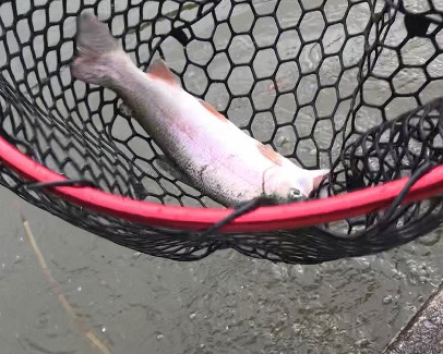 オープンしたてのフィッシャーリゾート庄原！