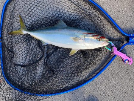 ジギング、タイラバ