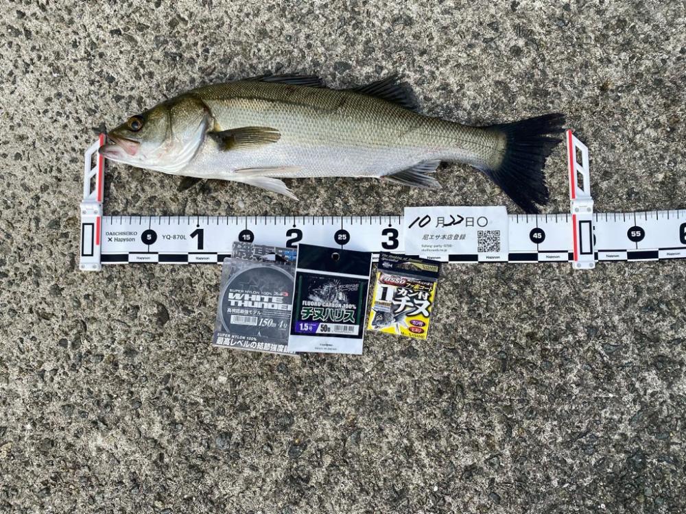 当日朝は少し肌寒く