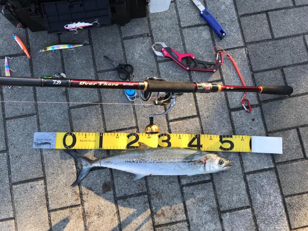 お久しぶりです。