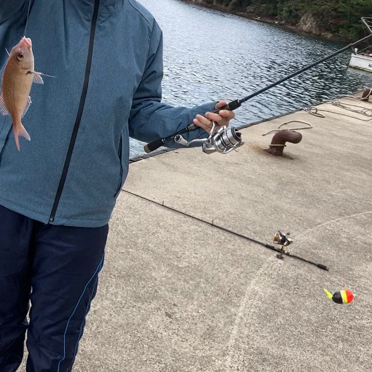 エギングタックルでフカセ釣りin隠岐島