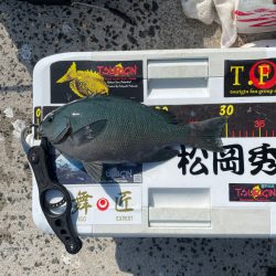六連島でクロ釣り
