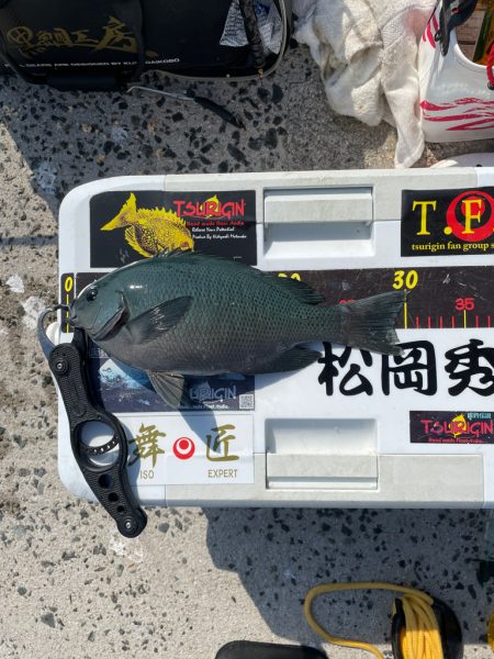 六連島でクロ釣り