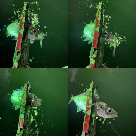 イージーゲーム