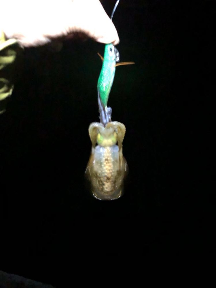 【若狭エリア】ランガン