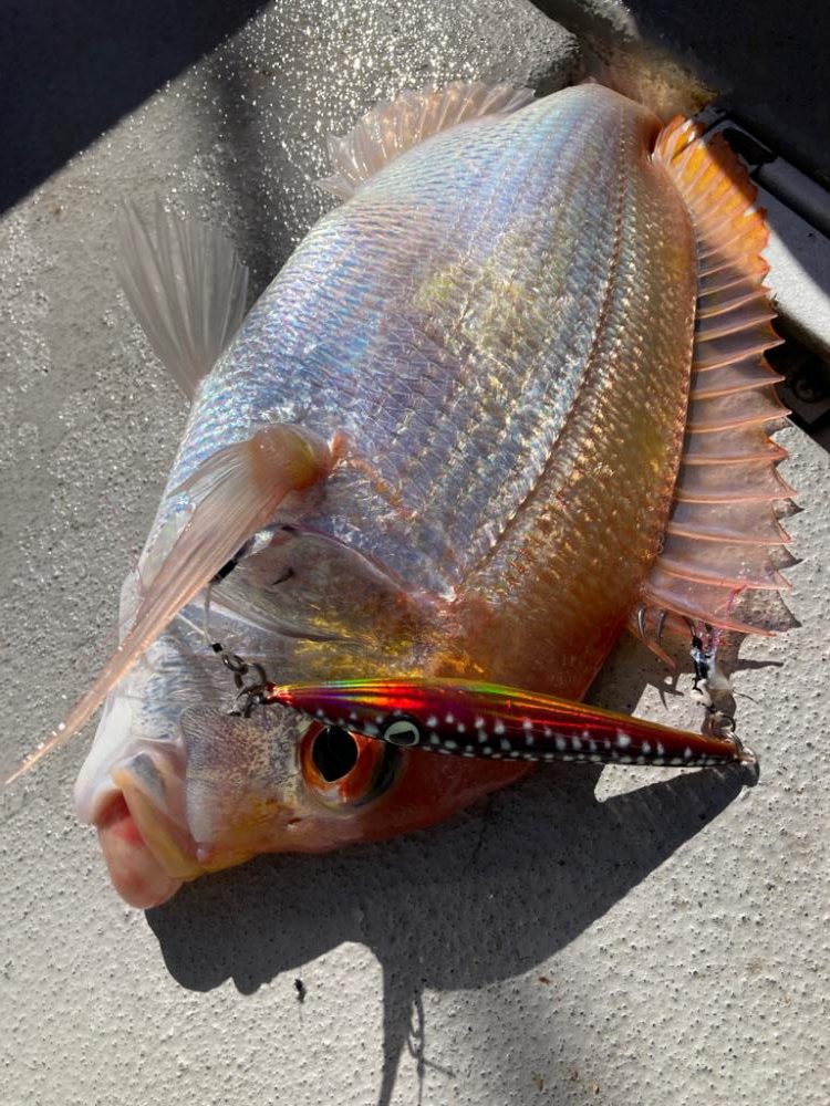 初のタイラバ&ライトジギング