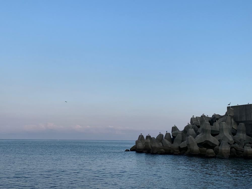 魚種は多いけども