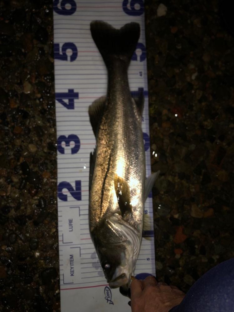 いるけど口を使わない