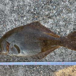 平磯海づり公園