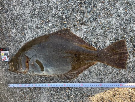 平磯海づり公園