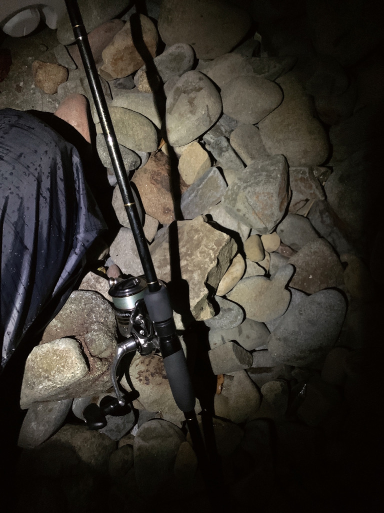 フロートアジング