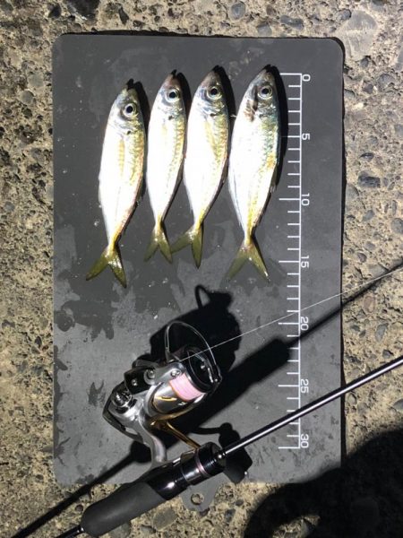 爆風で激渋、おまけに寒い…