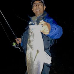 ニューロッド、タイドリフトでシーバス