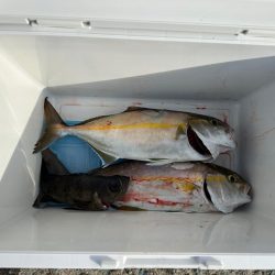 逃した魚が一番デカかった❗&…