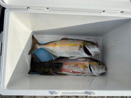 逃した魚が一番デカかった❗&…