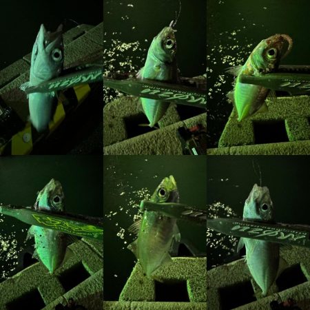 仕事帰りの息抜き