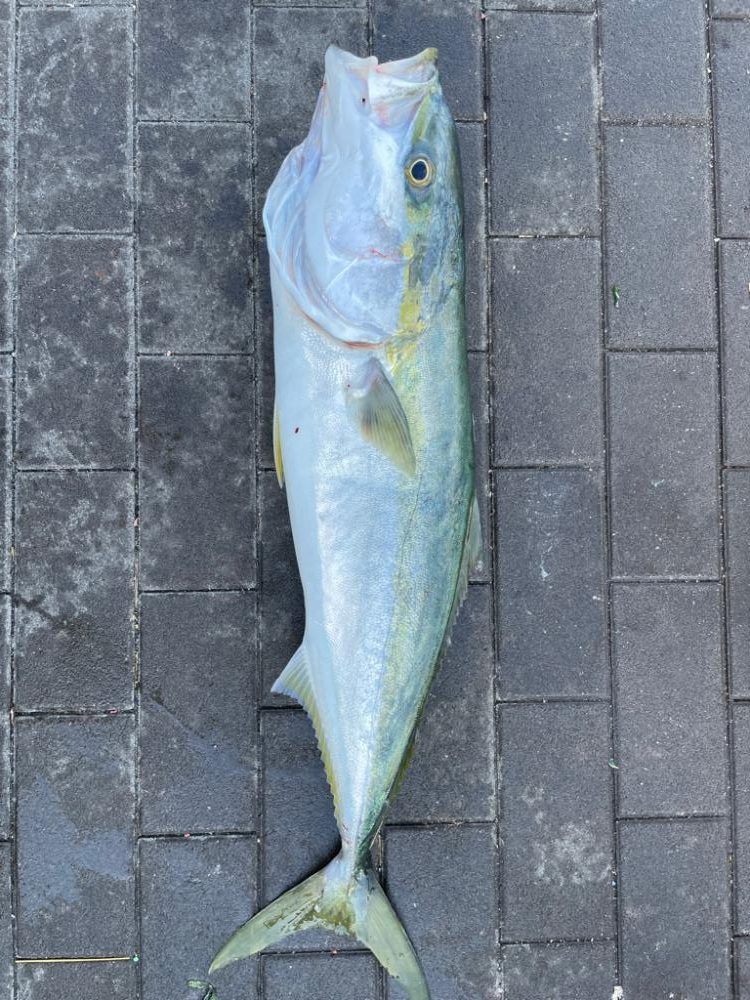 タチウオ釣り カワハギ釣り