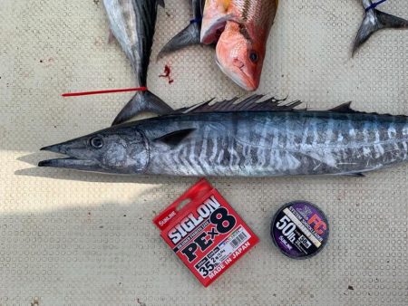 久々のジギング