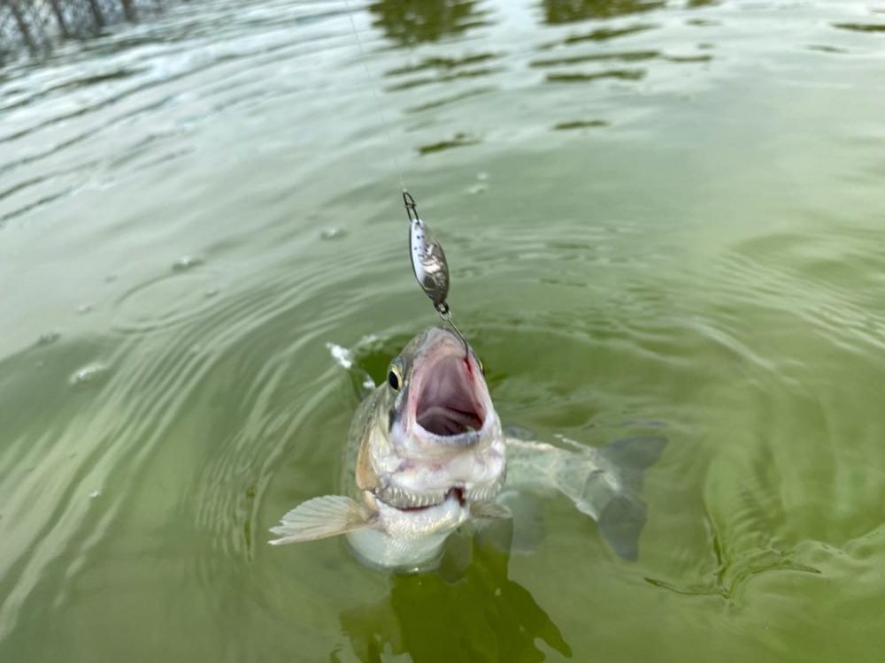 かめプー　貸切でストレスなし