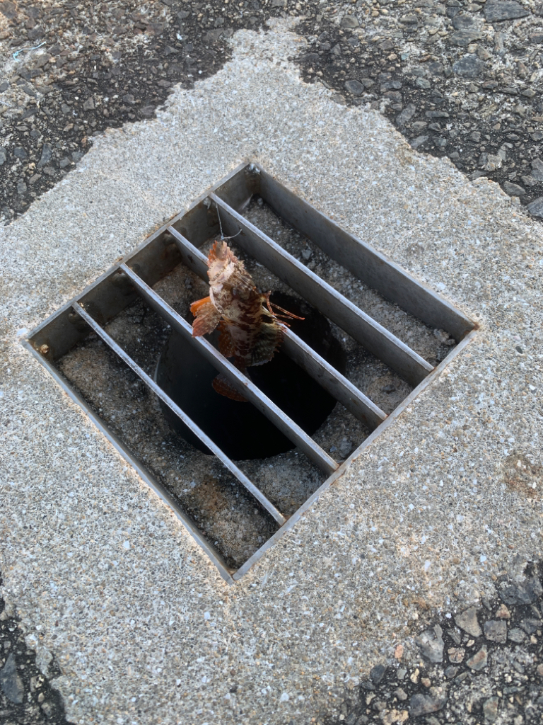 アジュール舞子　変な穴釣り