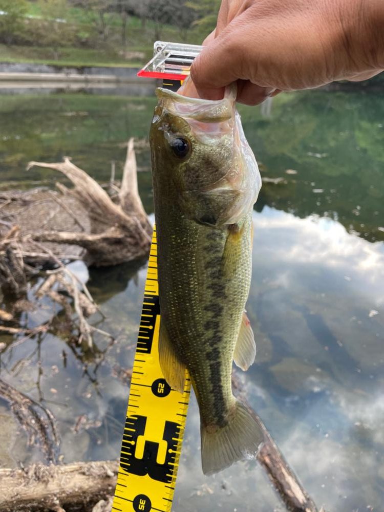 今日も今日とて