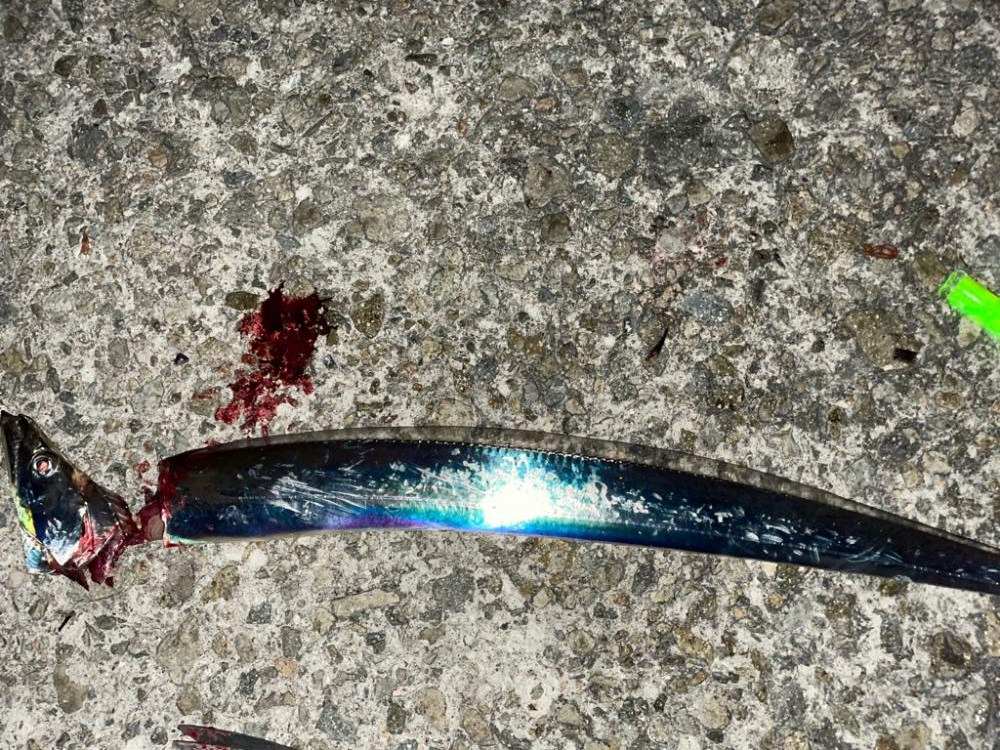 太刀魚釣りは楽しい。