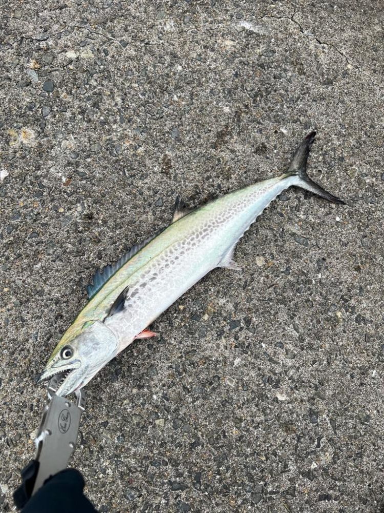 雨降り前の曇天大潮