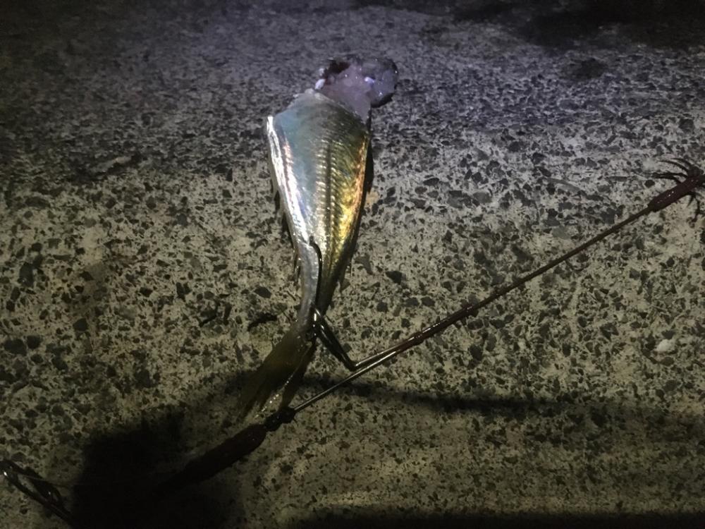 ヤエンデビュー不発