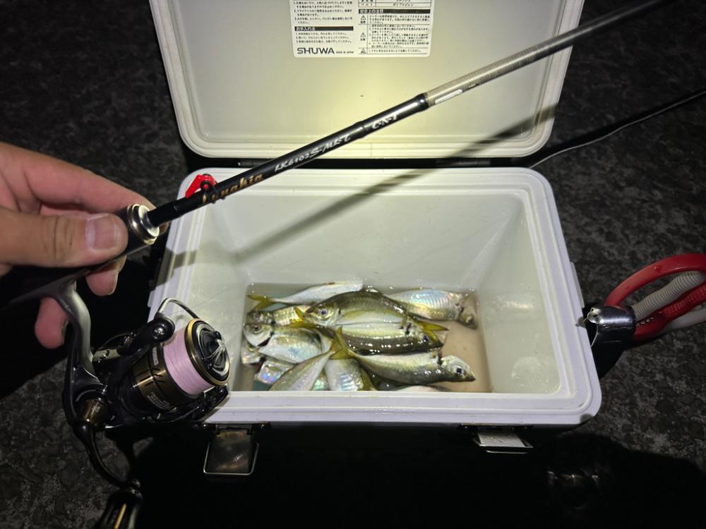 太刀魚釣るはずだったのに